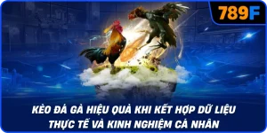 Kèo đá gà hiệu quả khi kết hợp dữ liệu thực tế và kinh nghiệm cá nhân
